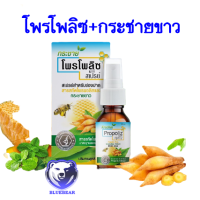 ราคา Propoliz Plus Krachaikao Extract Mouth Spray 15 ml โพรโพลิซ เมาท์ สเปรย์ โพรโพลิส พลัส กระชายขาว เอ็กซ์แทรค เมาท์ สเปรย์ สูตร กระชายขาว สเปรย์สำหรับช่องปาก (21774277383)
