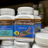 ราคา สมุนไพรแคปซูล รากปลาไหลเผือก Tongkat Ali (21176989193)