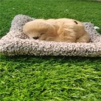 ราคา ตุ๊กตาดูดกลิ่น ตุ๊กตาหมาดับกลิ่น ตุ๊กตาดับกลิ่น ตุ๊กตาแมวดับกลิ่น ตุ๊กตาดูดกลิ่นในรถ ตุ๊กตาแมว ตุ๊กตาหมา ตุ๊กตาน้องหมาxiaoshop01 (21368907183)
