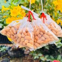 ราคา ถั่วลิสงคั่วทรายหรือถั่วดินแบบพวง12ถุงน้ำหนักรวม660กรัม (21432731768)