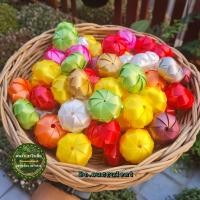 ราคา เหรียญโปรยทาน เหรียญโปรยทานลูกส้ม ตัวเปล่า เหรียญโปรยทานวงกลม เลือกจำนวน 20 ชิ้น 50ชิ้น 100 ชิ้น เหรียญโปรยทานสำเร็จรูป เหรียญโปรยทานลูกบอลหลากสี (21436887830)