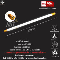 ราคา หลอดไฟT8LED 20W 40W 60cm120cm G13 หลอดไฟยาว หลอดไฟสั้น หลอดนีออนแอลอีดี ขั้วสีขาว9w18w ขั้วสีทอง20w40w แสงสีขาว HOTถูกที่สุด ราคาส่ง (21408651793)