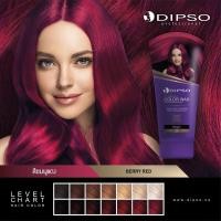 ราคา Dipso Super Shine Hair Color Wax ดิ๊ฟโซ่ แว็กซ์สี 150กรัม (9939078265)