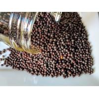 ราคา เมล็ดมัสตาร์ด 100กรัม Mustard Seeds 100g (19945146575)