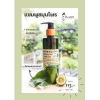 ราคา แชมพูสมุนไพรใบหมี่ มะกรูด อัญชัน 250 ml (9201200621)