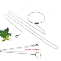 ราคา ห่วงเปิดขานก ห่วงขานก ห่วงนกแก้ว ห่วงเปิด ห่วงขานกฟอพัส นกแก้ว (21188628701)