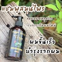 ราคา แชมพูสมุนไพรจีน บำรุงหนังศรีษะ ขนาด 300 มล พร้อมส่ง (20058378108)