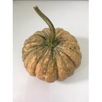 ราคา สดจากไร่ ฟักทองสด 1ลูก 700 800กรัม ฟักทองเป็นลูก ผักผลไม้ ราคาถูก ราคาส่ง (21005394667)