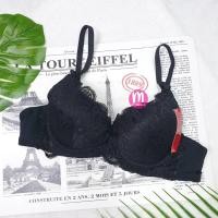 ราคา เสื้อชั้นใน DQ8188 ลูกไม้ Softdoom มีโครง เสื้อชั้นในผู้หญิง (19754281354)