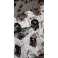 ราคา สะดิ้ง ขนาด 1 ชุด เคลมไม่เสียค่าใช้จ่าย (21624237913)