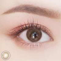 ราคา คอนแทคเลนส์ ขนาดมินิ Mini Ava Gray Brown (11409345406)
