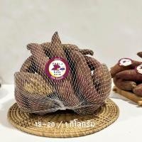 ราคา ขายดีอันดับ1 มันหวานญี่ปุ่นแท้ ตรา sweet potato เนื้อเหลือง หอมหวาน อร่อย 1 กก สินค้าเคลมได้ (21438763279)