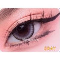 ราคา คอนแทคเลนส์ Pure Alice Brown Gray Shinee ขนาดบิ๊กอาย (20585279573)