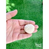 ราคา ลูกแป้ง 20ลูก ลูกแป้งข้าวหมาก ลูกแป้งสาโท สาโท ลูกแป้งข้าวหมากป้าบุญ สูตรโบราณ นครศรีธรรมราช ลูกแป้งขาวหมาก (17137150198)