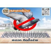 ราคา แปลงไล่นก หนามไล่นก จากโรงงานCNT (18835704039)