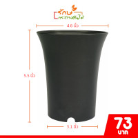 ราคา กระถางต้นไม้ กระถางแคคตัส กระถางทรงปากแตร 4 5 5 นิ้ว (21395293575)