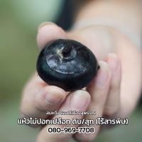 ราคา แห้วดำดิบ มีเปลือก แห้วสด 1000 กรัม หรือ 1 กก แห้วสดสุพรรณบุรี (21545062829)