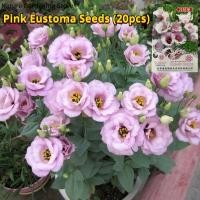 ราคา เมล็ดพันธุ์ ยูสโตมา ดอกสีชมพู บรรจุ 20เมล็ด Pink Eustoma Flower Seed เมล็ดดอกไม้ บอนสีพันหายาก ต้นไม้มงคล บอนสี เมล็ดบอนสี บอนไซ ต้นไม้ ไม้ประดับมงคล ดอกไม้จริง ต้นบอนไซ พันธุ์ดอกไม้ ดอกไม้ปลูกสวยๆ แต