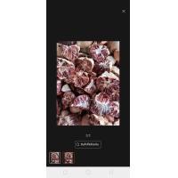 ราคา หมากสด หมากสุก ผ่าฉีก ตากแห้ง หมากใหม่ จากสวนโดยตรงไม่มีราขึ้น คัดคุณภาพดี เก็บใว้กินได้ยาวนาน กลิ่นหอม น่ารับประทาน1กก 69 แถม1ขีด (21410287527)