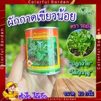 ราคา ผักกาดเขียวน้อย ตรารถถัง เมล็ดผักกาด 10 กรัม เมล็ดผักสวนครัว เมล็ดผัก เมล็ดพันธุ์ผัก (18894894908)