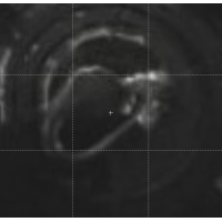 ราคา PARASIL กาวซิลิโคนซีลแลนท์ พาราซิล 929 อินทีเรีย เอ็กทีเรีย ซิลิโคน ซีลแลนด์ 300กรัม ราคา หลอด (18553247360)