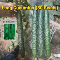 ราคา เมล็ดพันธุ์ แตงกวาญี่ปุ่น บรรจุ 30 เมล็ด Japanese Cucumber Seed Organic Vegetable Seeds for Planting เมล็ดแตงกวาญี่ปุ่น F1 เมล็ดพันธุ์แท้ OP เมล็ดพันธุ์ผัก บอนไซ ผักสวนครัว ผักออร์แกนิก พันธุ์ผัก ปลูก