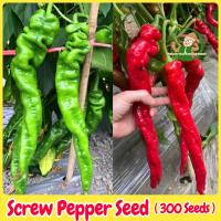 ราคา เมล็ดพันธุ์ พริกไทยเกลียว บรรจุ 300เมล็ด Screw Pepper Seeds Organic Vegetable Seeds for Planting เมล็ดพันธุ์พริก เมล็ดพริก เมล็ดพันธุ์ OP แท้ ผักออร์แกนิก F1 เมล็ดพันธุ์ผัก พันธุ์ผัก เมล็ดพันธุ์พืช เม