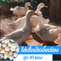 ราคา ไข่เชื้อเป็ดอี้เหลียงชุด 10 ฟองสำหรับฟัก (12486897878)