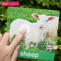 ราคา แฟลชการ์ดใบใหญ่ Big Card การ์ดคำศัพท์ animal หนูชอบสัตว์น่ารัก บัตรคำ ศัพท์พื้นฐานเด็ก (21428989644)