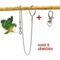 ราคา พร้อมส่ง โซ่คล้องขานก สายจูงนก โซ่นกแก้ว โซ่จูงนก โซ่สำหรับนกแก้ว ห่วงเปิดขานก ห่วงขานก ยาว 80 ซม สแตนเลส (21211447379)