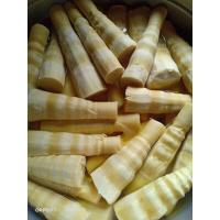 ราคา หน่อไม้หวานแบบหน่อ ไม่ขม ไม่เปรี้ยว ขนาดบรรจุ 500กรัม (21382118664)