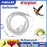 ราคา สายยืดคล้องขานก ห่วงเปิดนก สายจูงนก เชือกนกแก้ว ห่วงขานก ห่วงใส่ขานกแก้ว ฝึกนกบิน เล่นกับนก (21605004531)