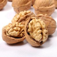 ราคา 5ลูก อาหารกระรอก วอลนัทแฮมเตอร์ วอลนัท Walnut วอลนัทลับฟัน วอลนัทกระรอก ขนมหนูแฮมเตอร์ อาหารนกแก้ว (19543108262)