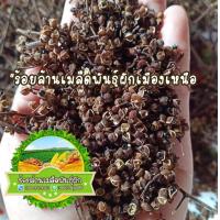 ราคา เมล็ดมะแขว่น เมล็ดบ่าแขว่น มะแขว่น บ่าแขว่นใส่พริกลาบ บ่าแขว่นเครื่องเทศคนเหนือ ใช้ปลูกและประกอบอาหารได้ มะแขว่นไม่ใช่มะก๊าด ไม่ใช่มะข่วง (21524001462)