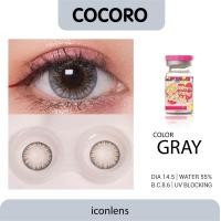 ราคา คอนแทคเลนส์ คิตตี้ คาวาอิ Cocoro Gray (16755418247)