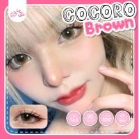 ราคา คอนแทคเลนส์ คิตตี้ คาวาอิ Cocoro Brown (16755355052)