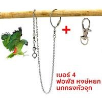 ราคา พร้อมส่ง โซ่คล้องขานก สายจูงนก โซ่นกแก้ว โซ่จูงนก โซ่สำหรับนกแก้ว ห่วงเปิดขานก ห่วงขานก ยาว 80 ซม สแตนเลส (21211447369)