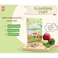 ราคา APPLE MONKEY แครกเกอร์ข้าวหอมมะลิออร์แกนิก ขนมเด็ก ขนมสำหรับเด็กอายุ 8 เดือนขึ้นไป Organic Rice Cracker (20736879578)