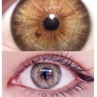 ราคา คอนแทคเลนส์ DNA Brown Gray ยี่ห้อ Wink Wow ค่าสายตา 700 (21104120293)