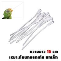 ราคา ที่ป้อนอาหารนก ที่ป้อนลูกนก สายป้อนลูกนก สายป้อนอาหารนก ชุดป้อนยานกแก้ว ที่ป้อนอาหารนกแก้ว ช้อนป้อนลูกนก อุปกรณ์ป้อนนก (21545814762)