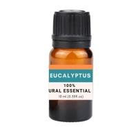 ราคา น้ำมันหอมระเหยแท้ ยูคาลิปตัส Eucalyptus Essential oil100 (21376296971)