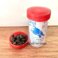 ราคา ชวาวงศ์ นกเขาเล็ก นกเขาชวา นกเขาใหญ่ นกพิราบ (18891797794)