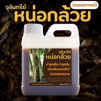 ราคา จุลินทรีย์หน่อกล้วย ขนาด 1 ลิตร บำรุงพืช บำรุงดิน มีจุลินทรีย์หลายชนิดที่พืชต้องการ ปลอดสารเคมี (4605540032)