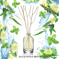 ราคา หอมมาก ก้านไม้หอมปรับอากาศ 15ml เซนต์ เนเจอร์ Scent Nature Reed Diffuer (17574687004)