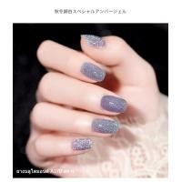 ราคา สีเล็บเจลแฟลช สีกลิตเตอร์ สีทาเจล ต้องอบ สีกลิตเตอร์เบาบาง สีดิสโก้ 9 Colors Frash Diamond Nail Polish สีทาเล็บเจลแท้สวยๆ อุปกรณ์ทำเล็บ สีทาเล็บติดทน (10808061701)