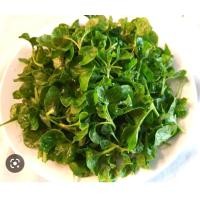 ราคา วอเตอร์เครส สด สะอาด รับประกันคุณภาพ (15060055836)