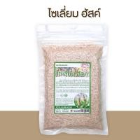 ราคา ไซเลี่ยมฮัสค์ Psyllium Husk เกรด A 100 กรัม ใยอาหารธรรมชาติ 100 ไฟเบอร์สูง (21729586503)