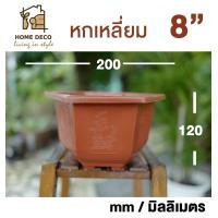 ราคา กระถางบอนไซ หกเหลี่ยม กระถางต้นไม้พลาสติก กระถางสไตล์จีน Hexagon plant pot Bonsai hexagon pot (20301020968)