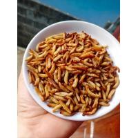 ราคา หนอนแว๊กซ์ อบแห้ง ขนาดทดลอง25กรัม (21199209519)