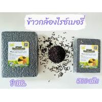 ราคา ข้าวกล้องไรซ์เบอรี่ (20743091251)
